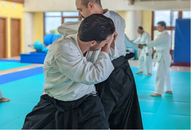 Aïkido – shihonage